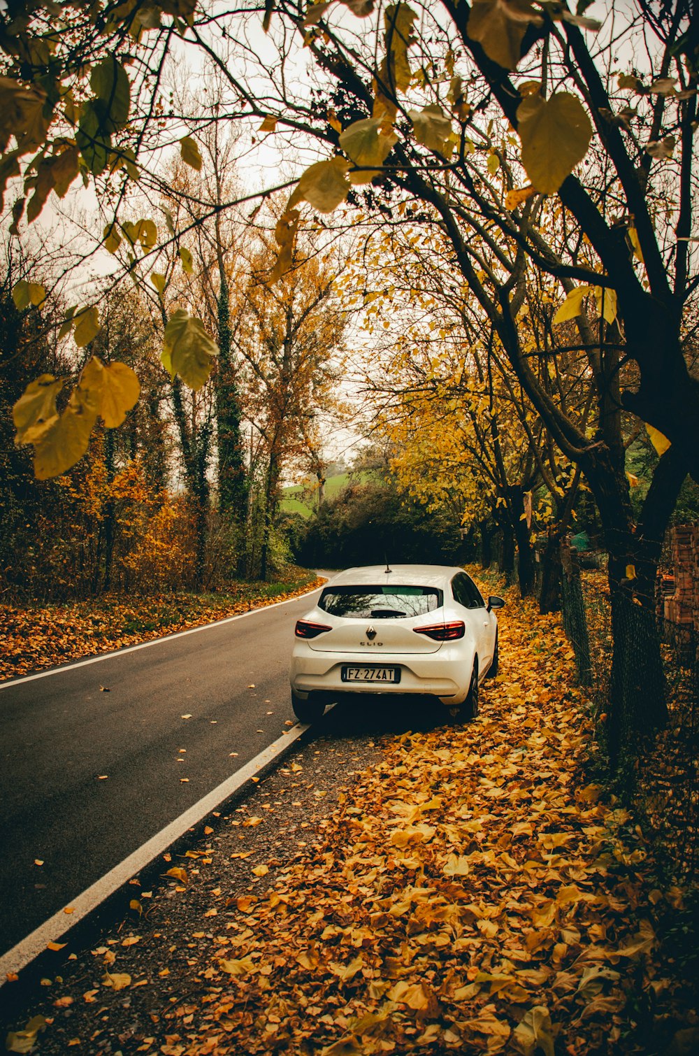 white porsche 911 on road between trees during daytime