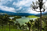 green trees near body of water under cloudy sky during daytime