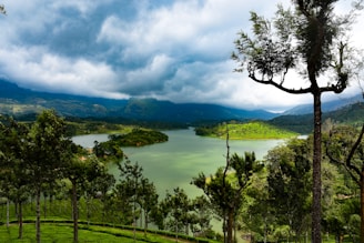 green trees near body of water under cloudy sky during daytime