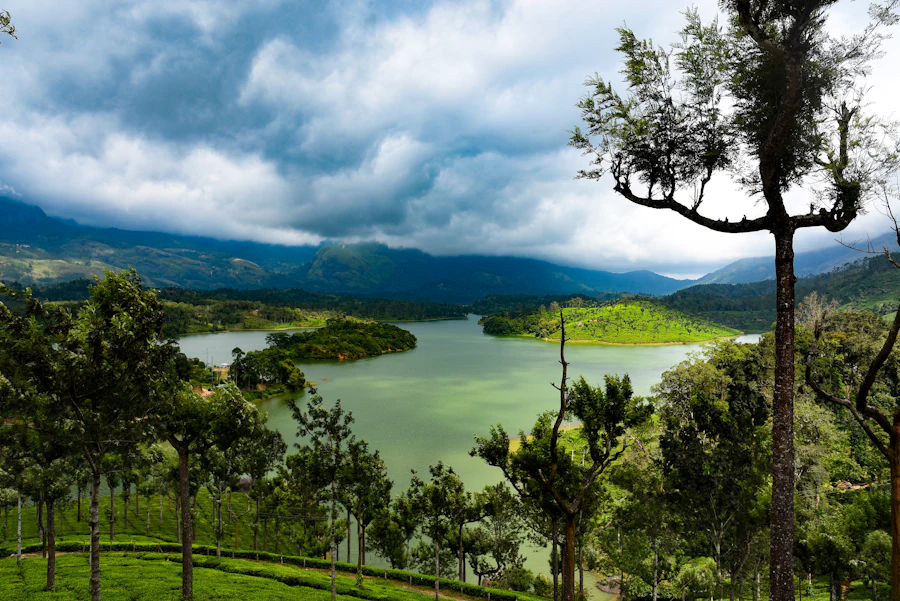 Tea plantations on the hills of Munnar, Kerala