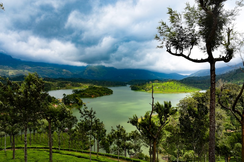 Sprawling tea estates of Munnar blanketed in morning mist