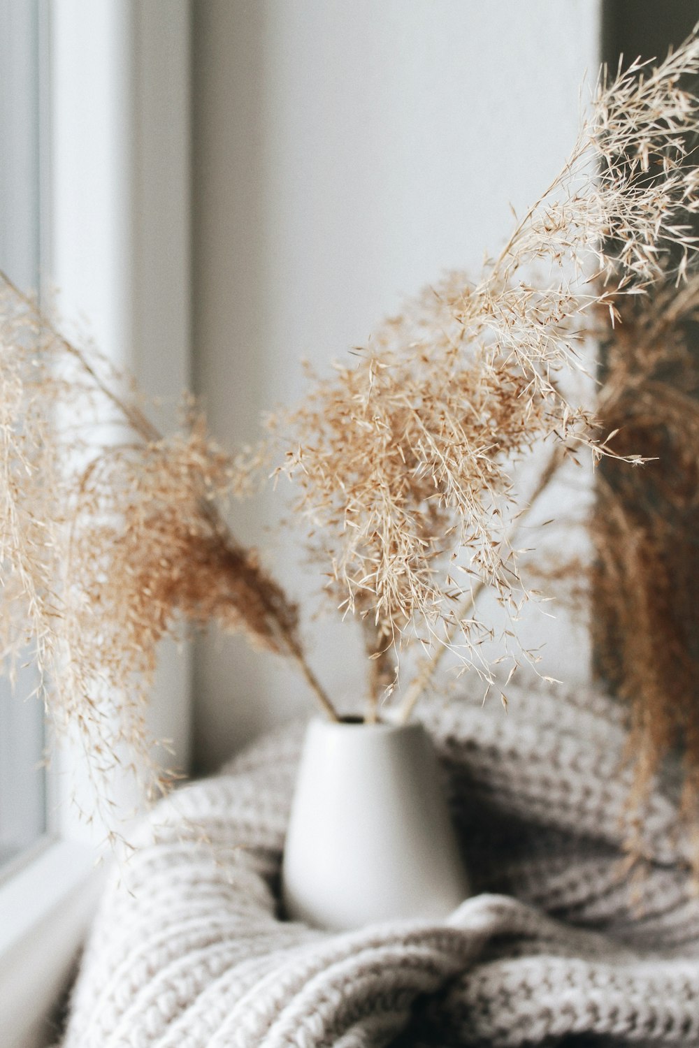 brown plant in white ceramic vase