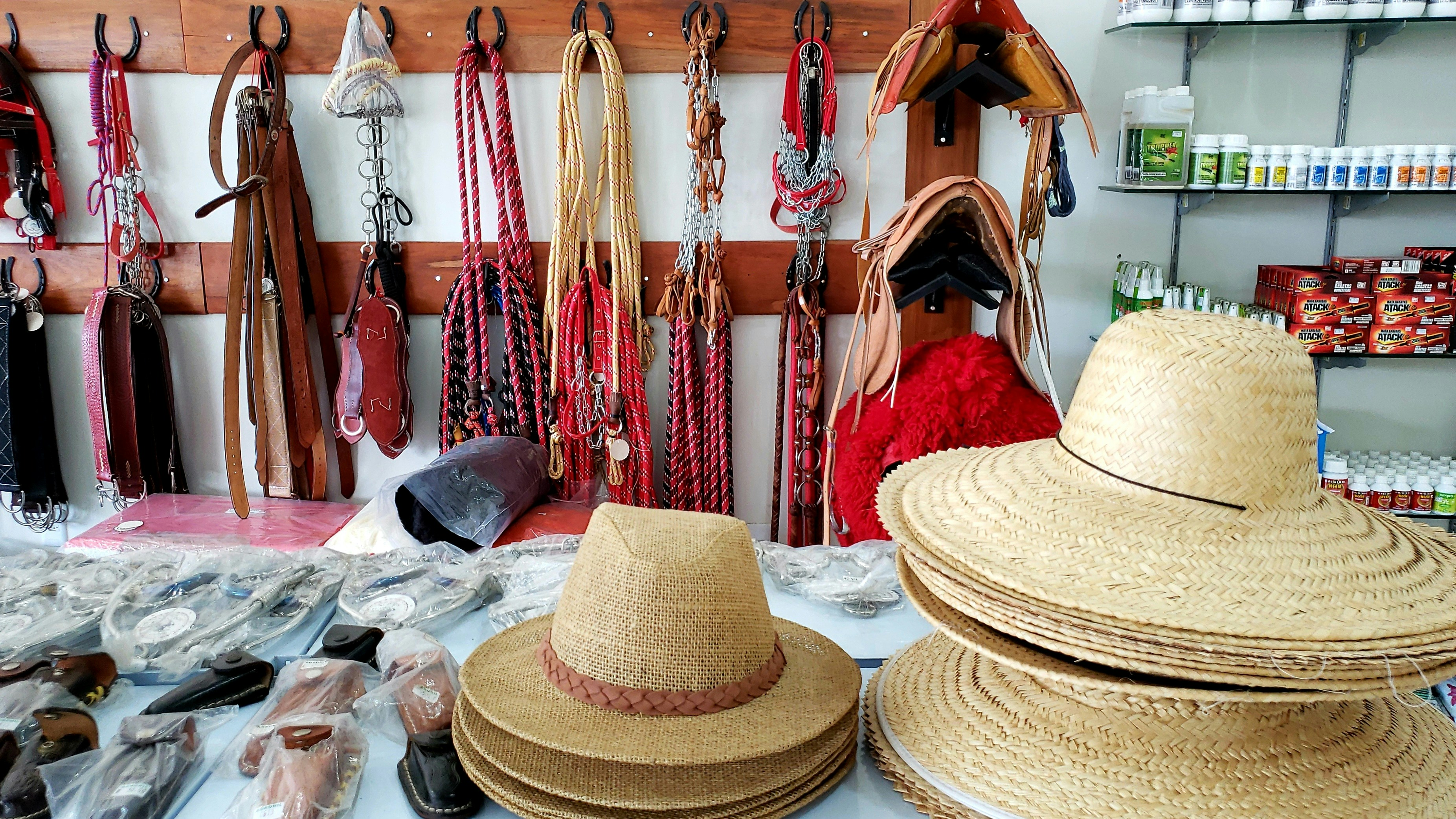 Pasión Ecuestre: Descubre Nuestra Tienda en Etsy con Artículos Exclusivos