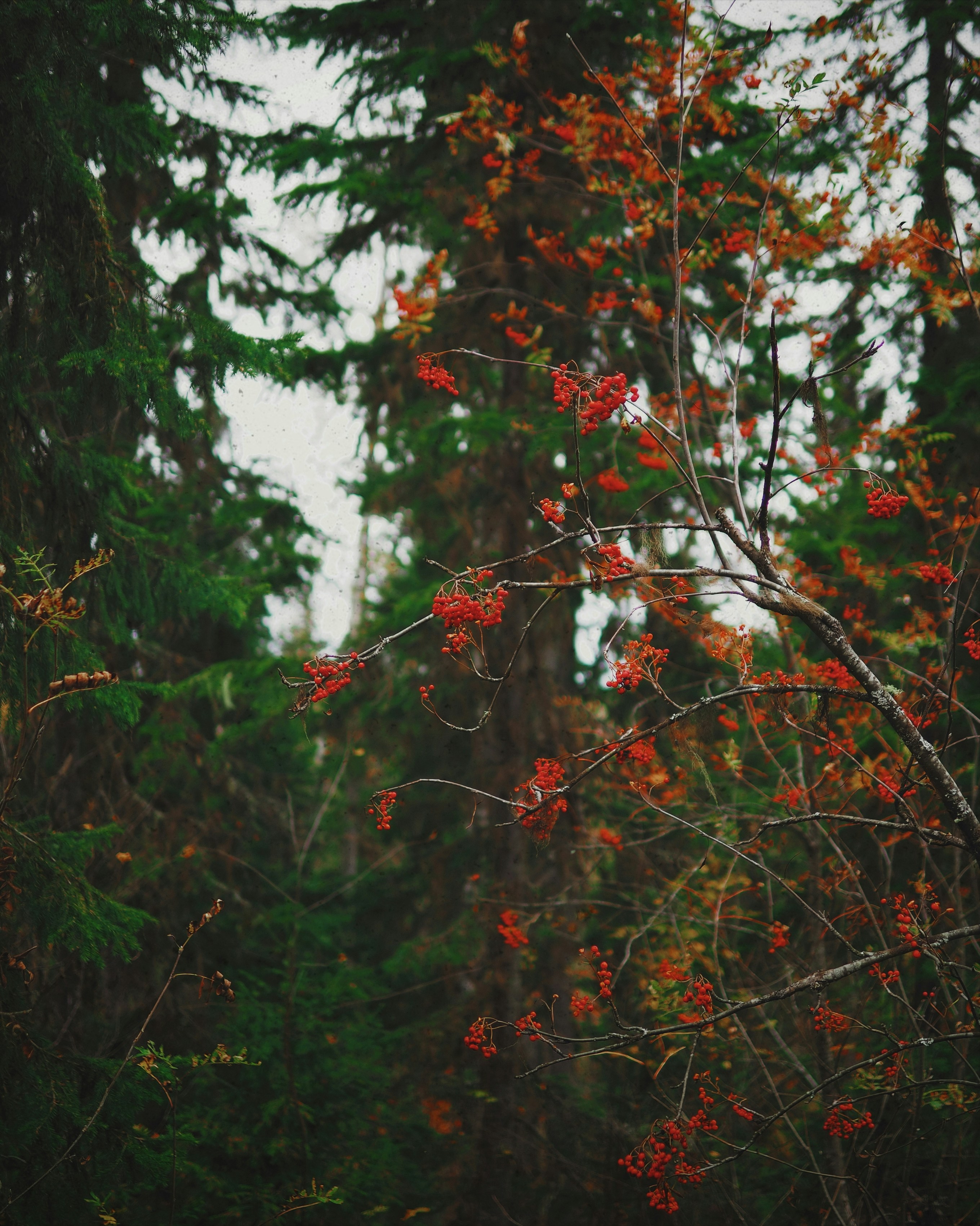 Photo by vladizlo