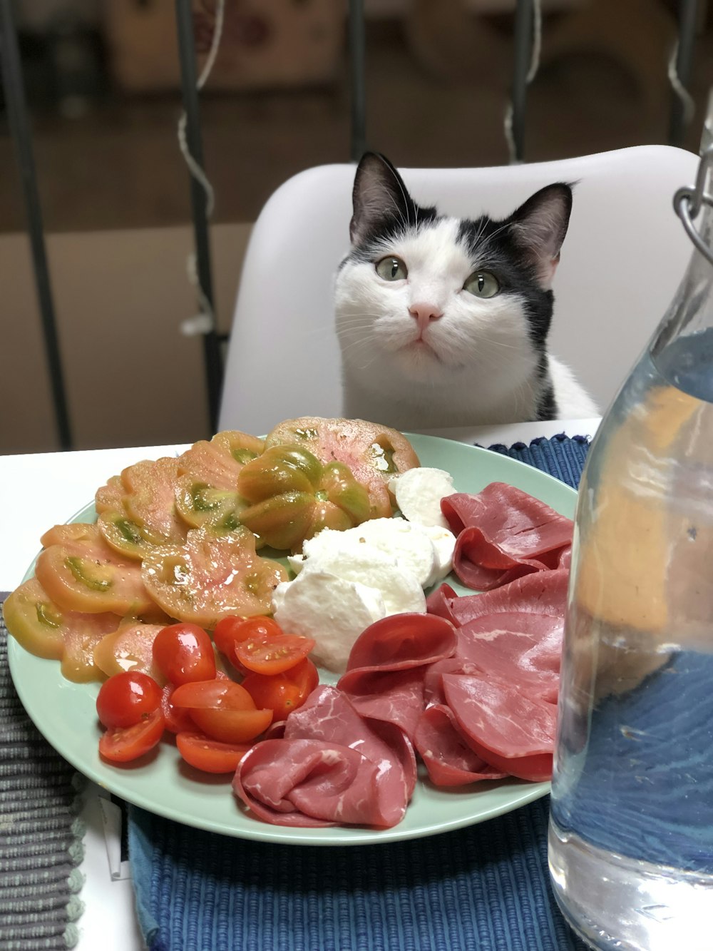 weiße und schwarze Katze auf weißem Tisch