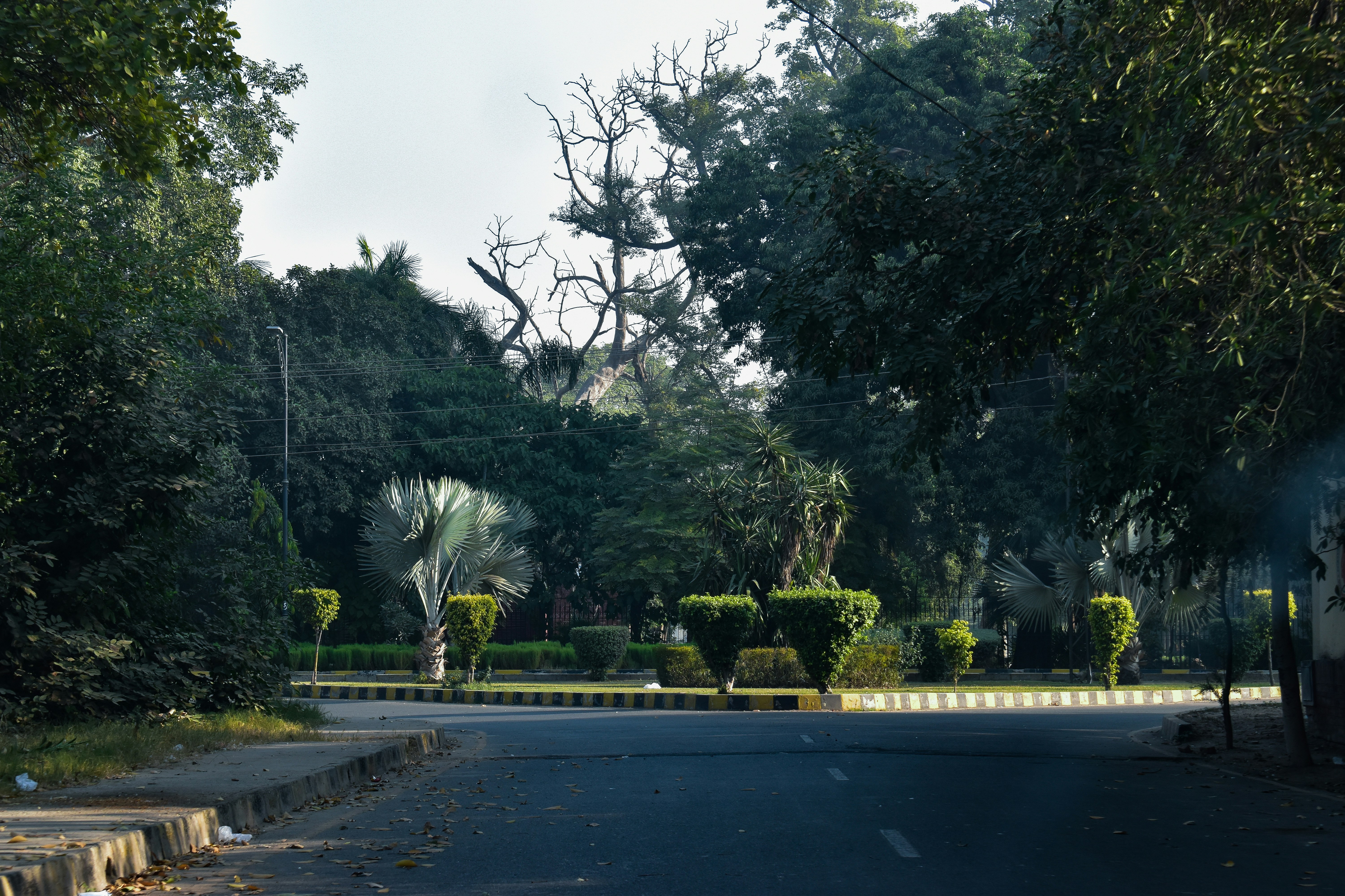 Samee Basit (@sameebasit) | Komunitas Foto Unsplash