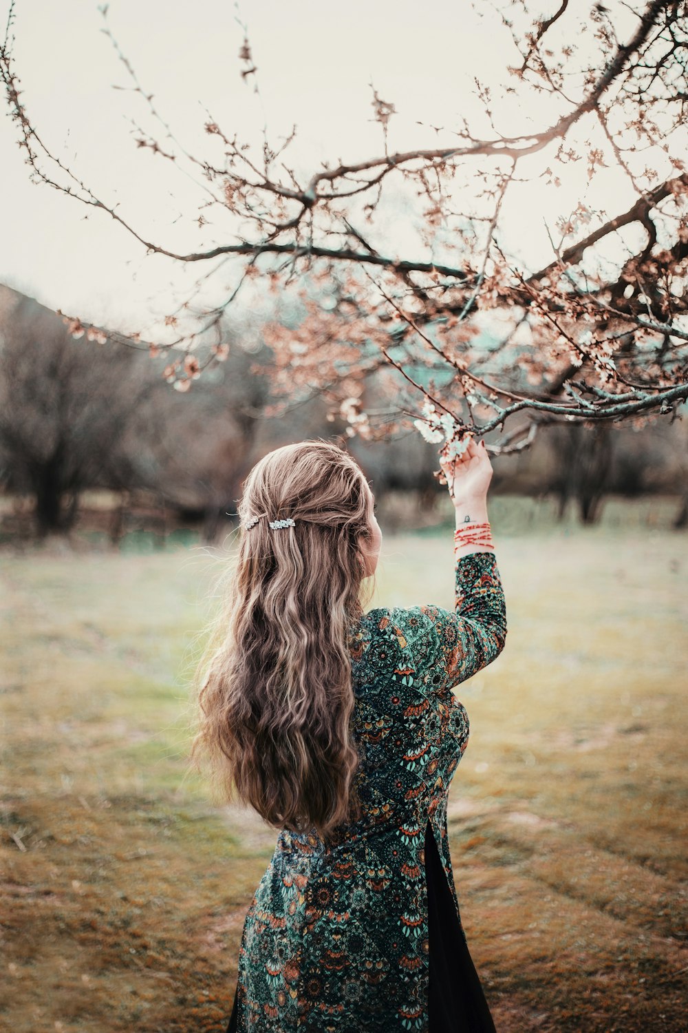 woman in black and red floral long sleeve shirt holding brown tree branch during daytime