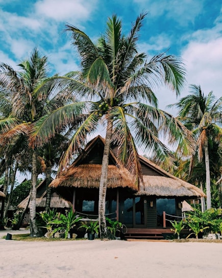 brown wooden house surrounded by palm trees