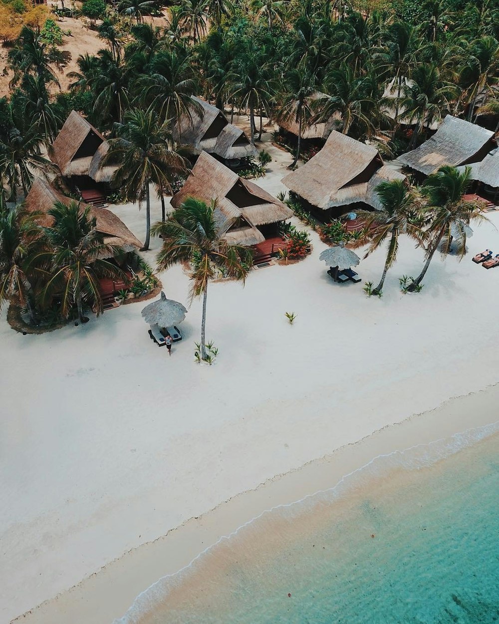 Plantes vertes sur sable blanc