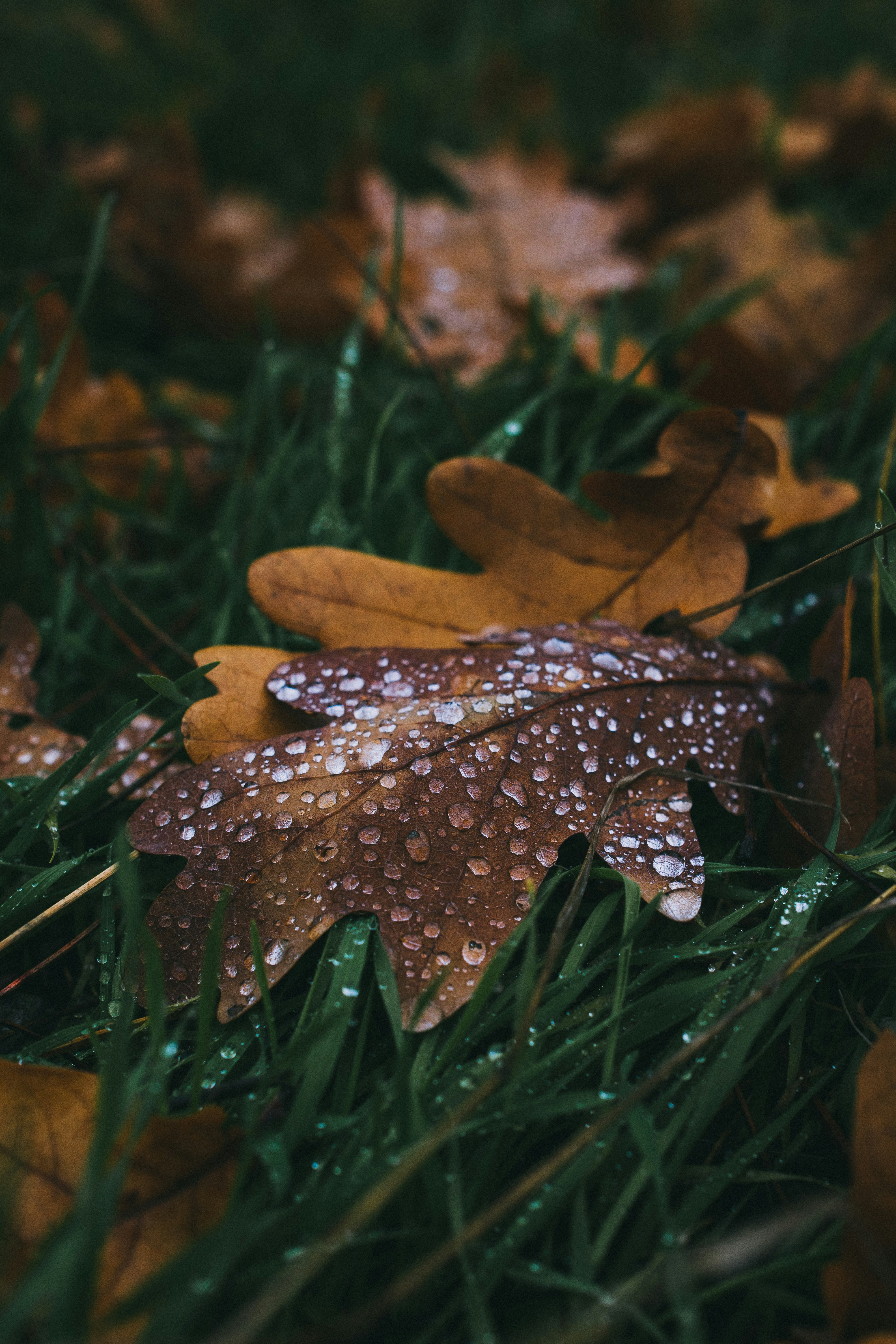 Photo by onmywayhome