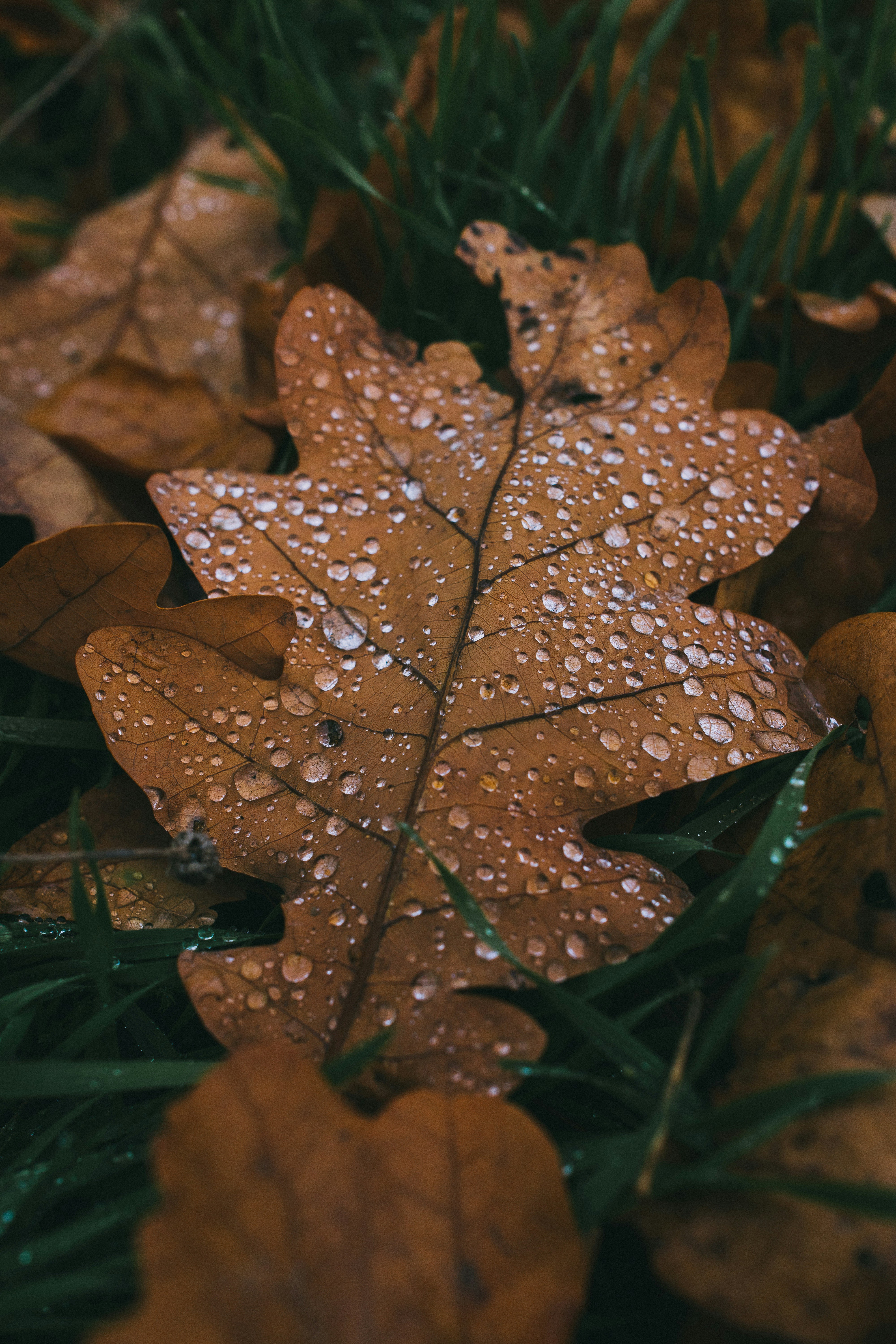 Photo by onmywayhome