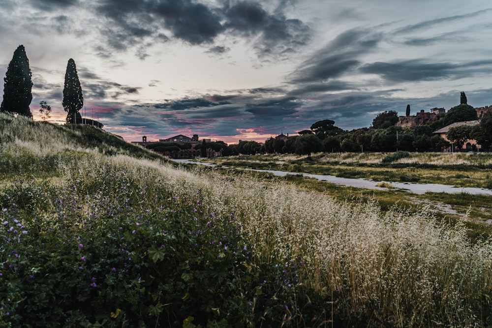 green grass field near body of water under cloudy sky during daytime