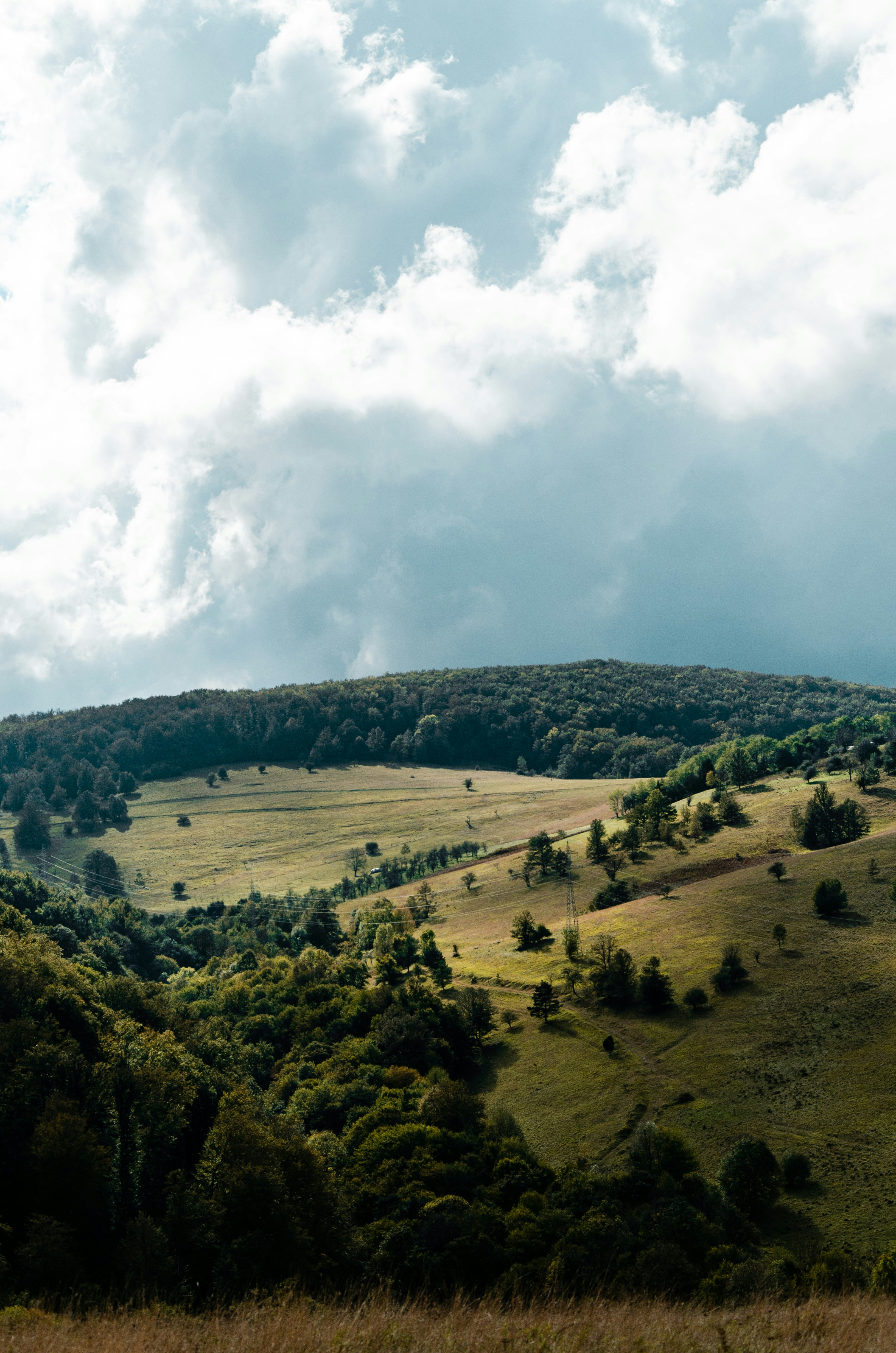 Photo by gamanalice3012