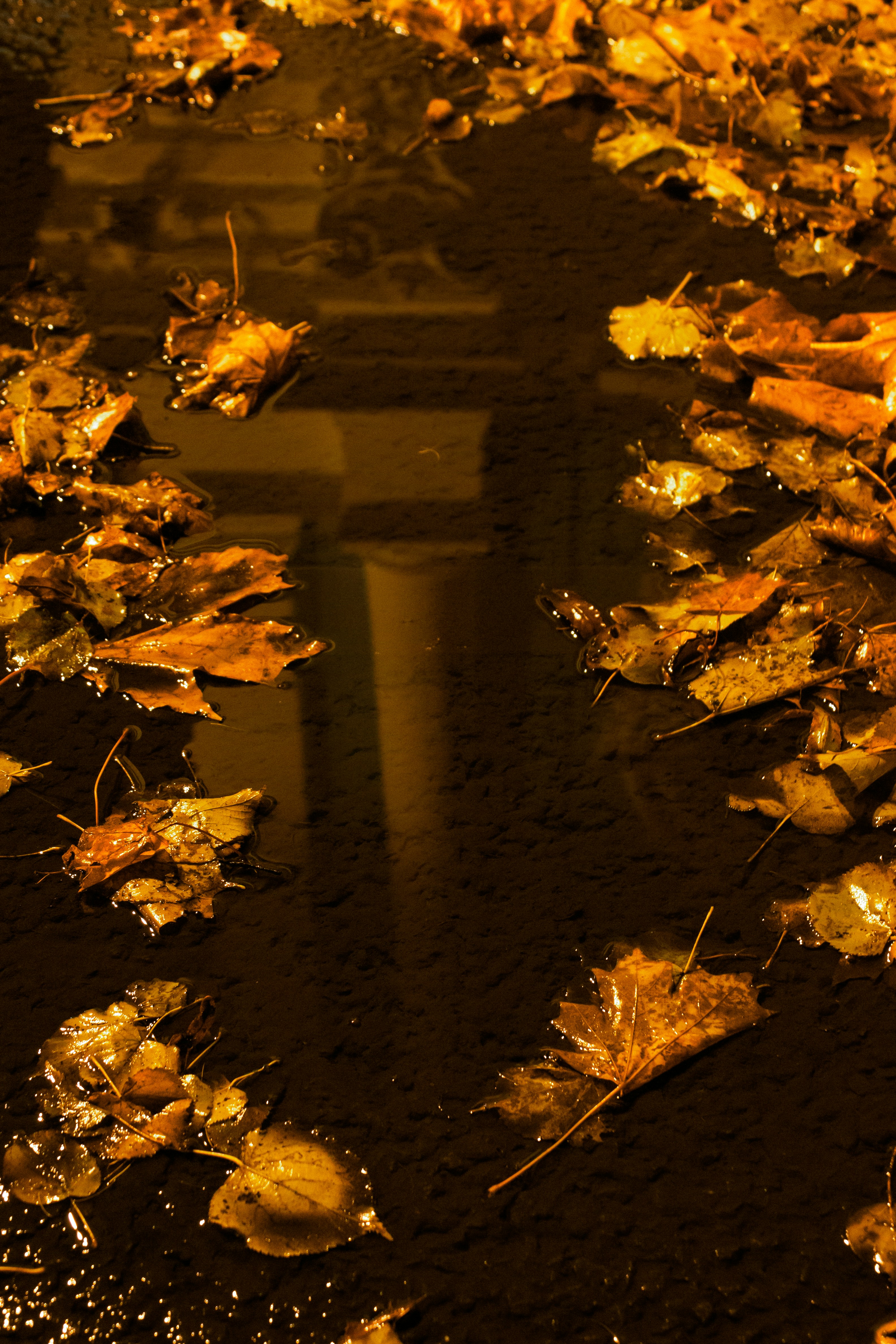 Photo by matthewelk