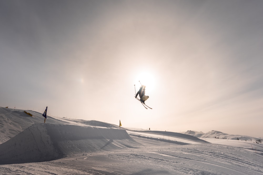 birds flying over snow covered ground during daytime