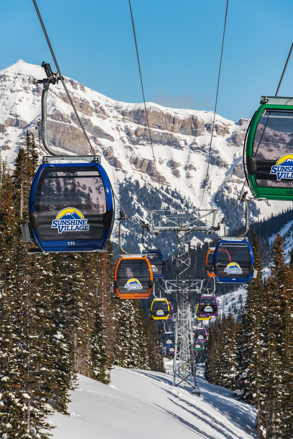 blue and yellow cable cars