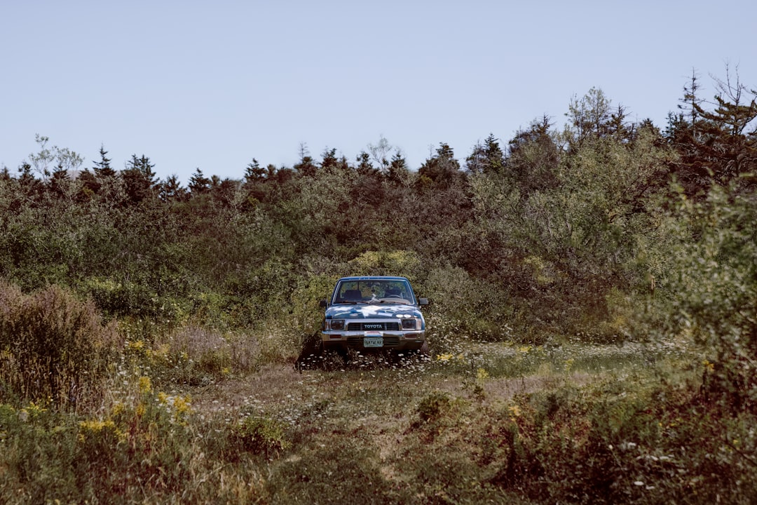 black car on green grass field during daytime