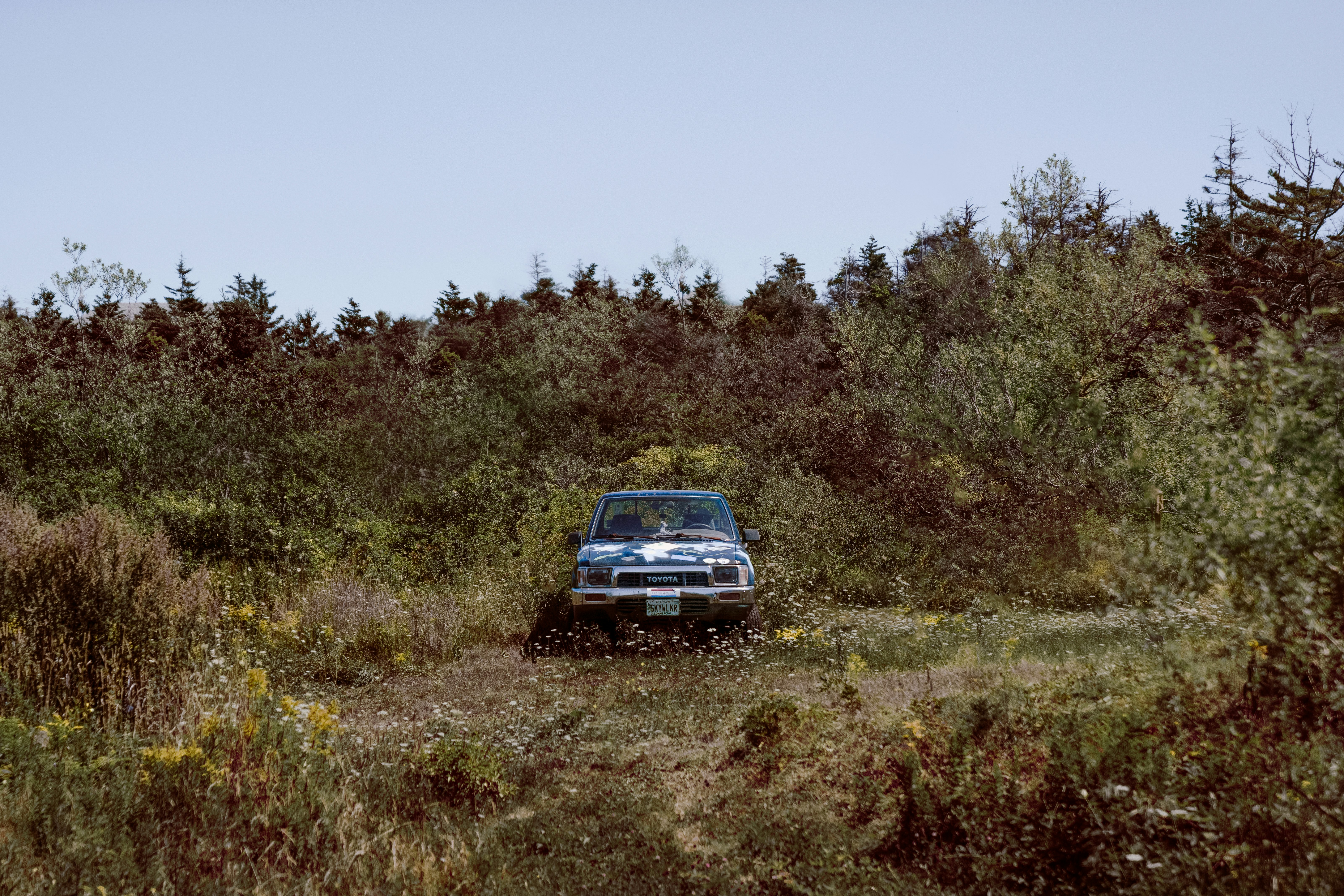 black car on green grass field during daytime