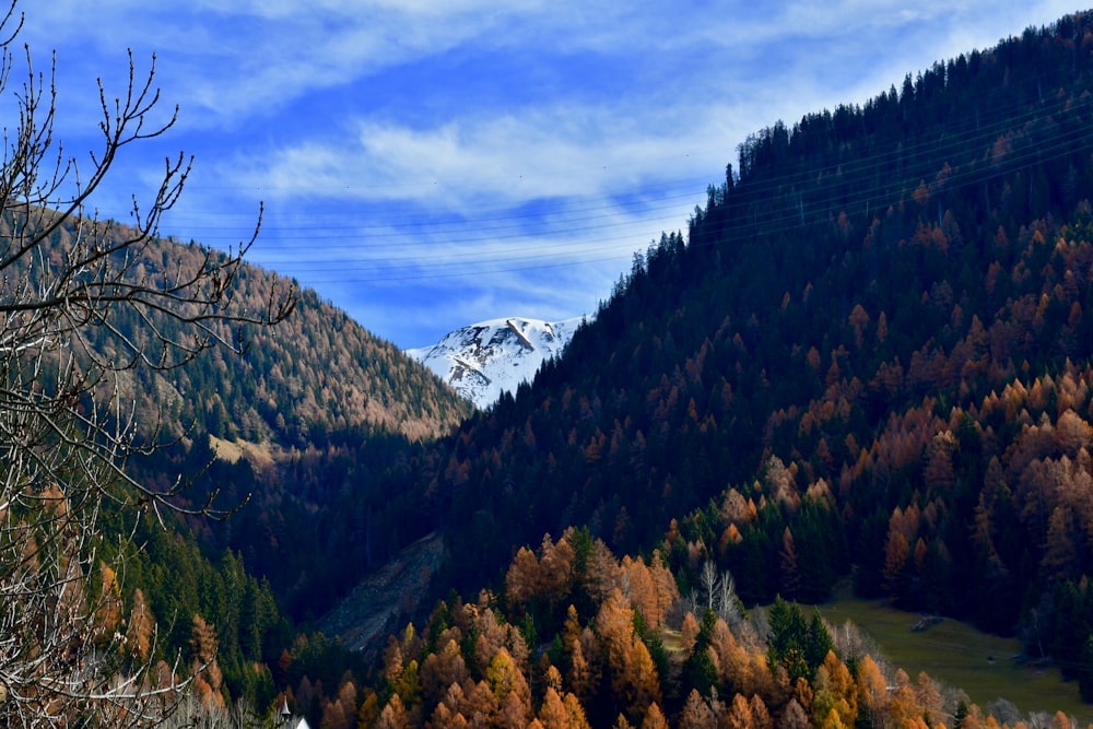 green and brown trees on mountain under white clouds during daytime