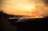 A vast field is on fire with flames stretching across the landscape under a hazy sky with the sun setting in the background. Smoke rises into the air, adding to the dramatic scene. Bare trees line the horizon, and a path leads into the field with a vehicle and a person standing nearby, silhouetted against the glow.