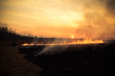 A vast field is on fire with flames stretching across the landscape under a hazy sky with the sun setting in the background. Smoke rises into the air, adding to the dramatic scene. Bare trees line the horizon, and a path leads into the field with a vehicle and a person standing nearby, silhouetted against the glow.