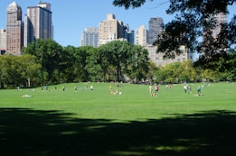 people playing soccer on green grass field during daytime