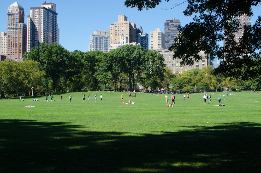 昼間、芝生の緑のグラウンドでサッカーをする人々