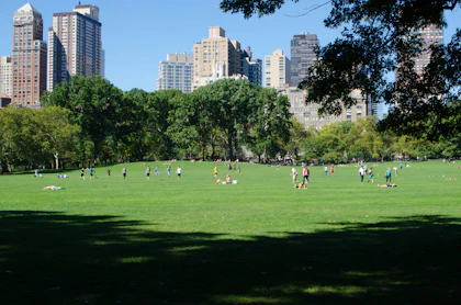 Pessoas relaxando no gramado do Central Park, em Nova York