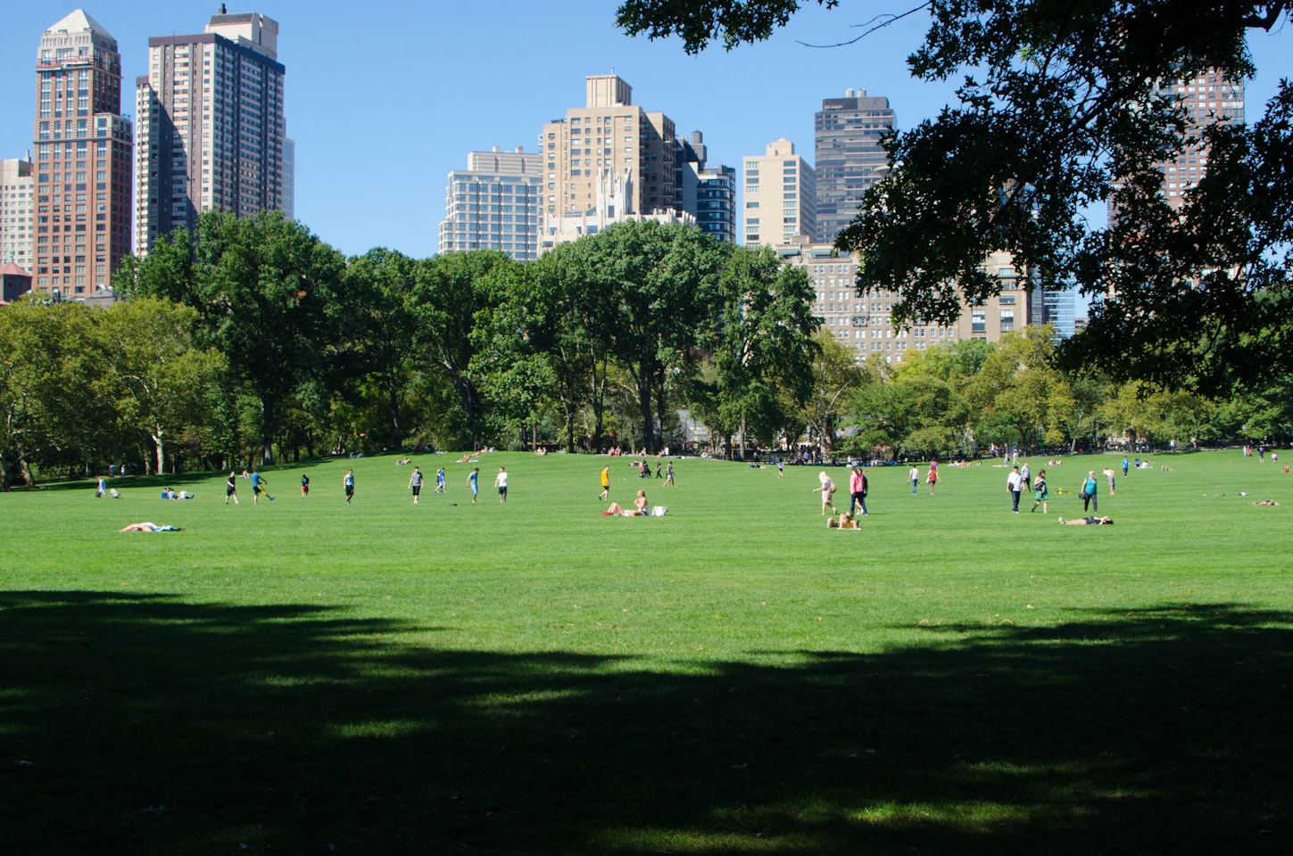Cover Image for LongevitySF NYC Central Park Picnic