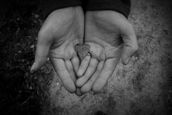 A close-up of hands gently holding a leaf, symbolizing growth and calm.