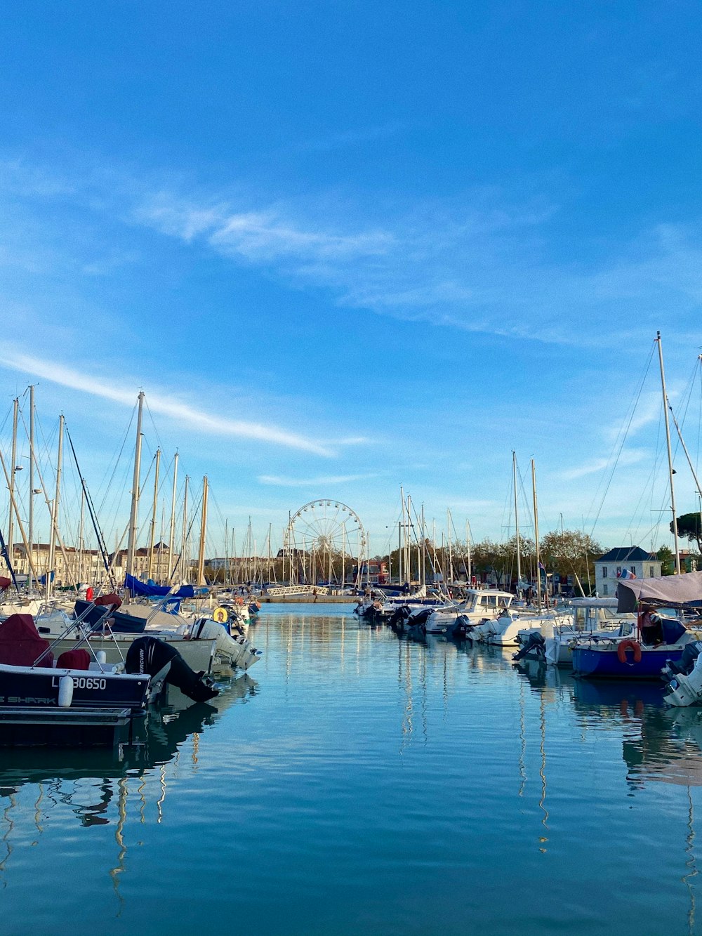 Barca bianca e blu sullo specchio d'acqua durante il giorno