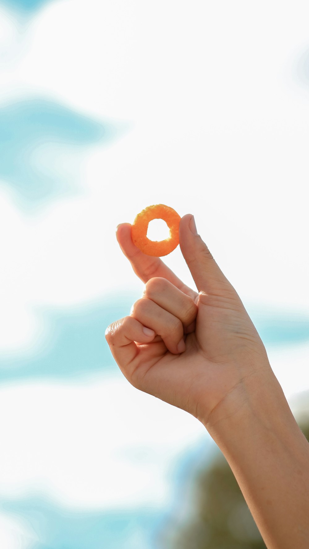 person holding orange fruit during daytime