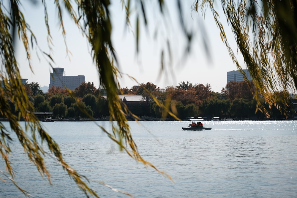 white and black boat on water near green trees during daytime