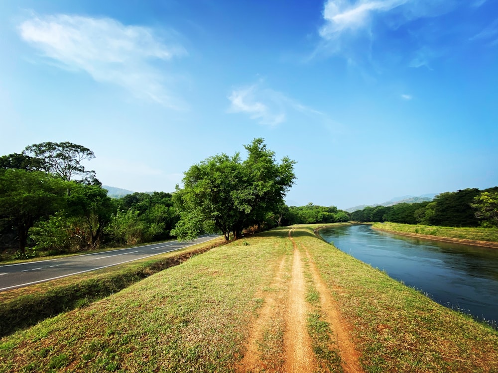 green trees beside river under blue sky during daytime