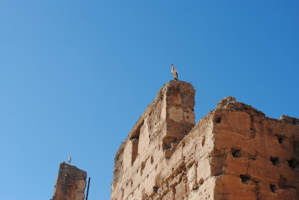 brown concrete building under blue sky during daytime