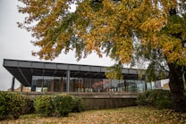 An architectural structure with a modern design is complemented by a backdrop of a large tree with autumn foliage. The leaves display various shades of yellow and green, contrasting with the building's sleek dark exterior. The ground is scattered with fallen leaves, adding to the autumnal atmosphere.