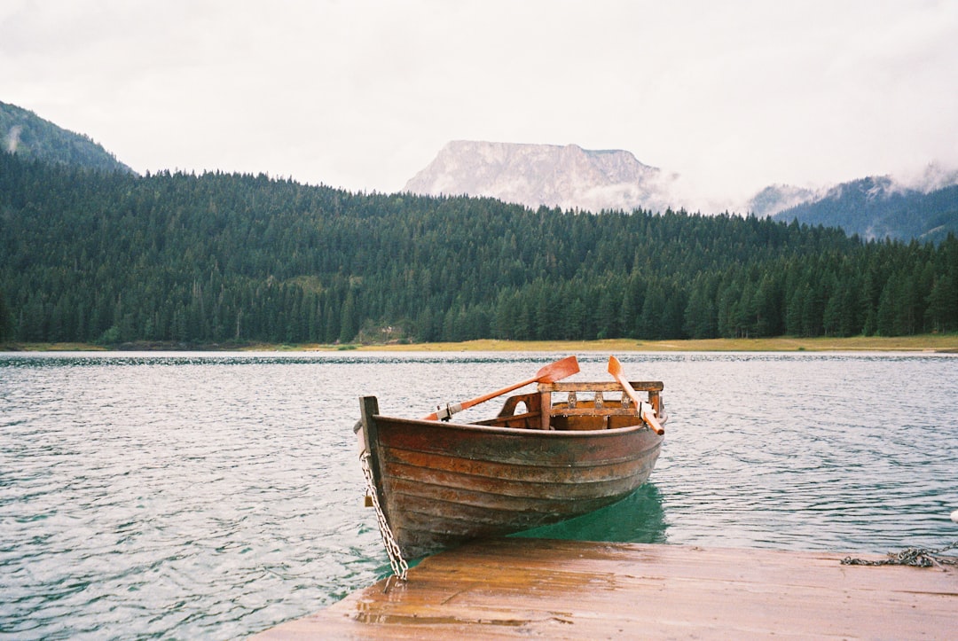 brown and blue boat on water near green trees during daytime