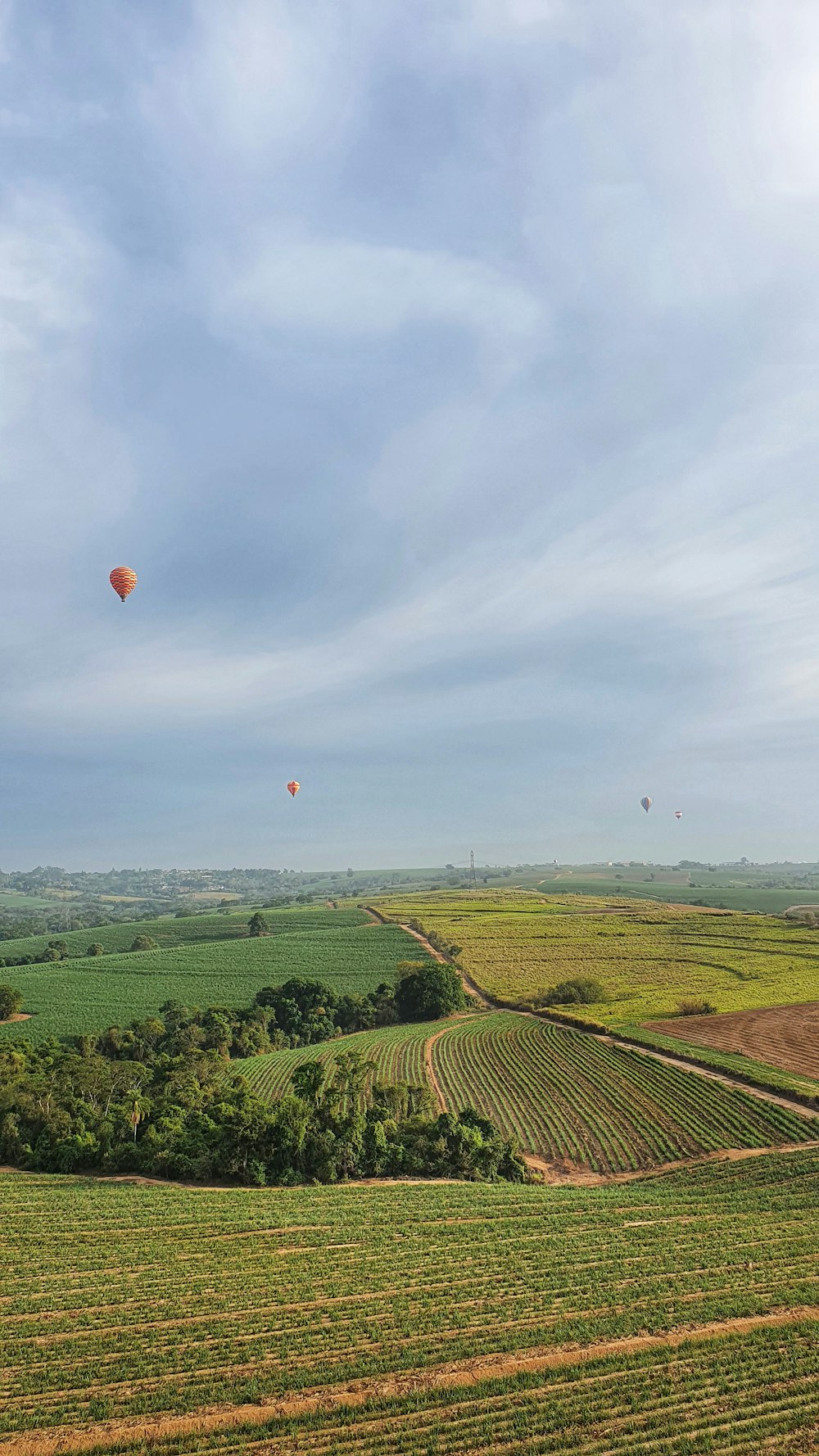 red and yellow hot air balloons flying over green grass field during daytime