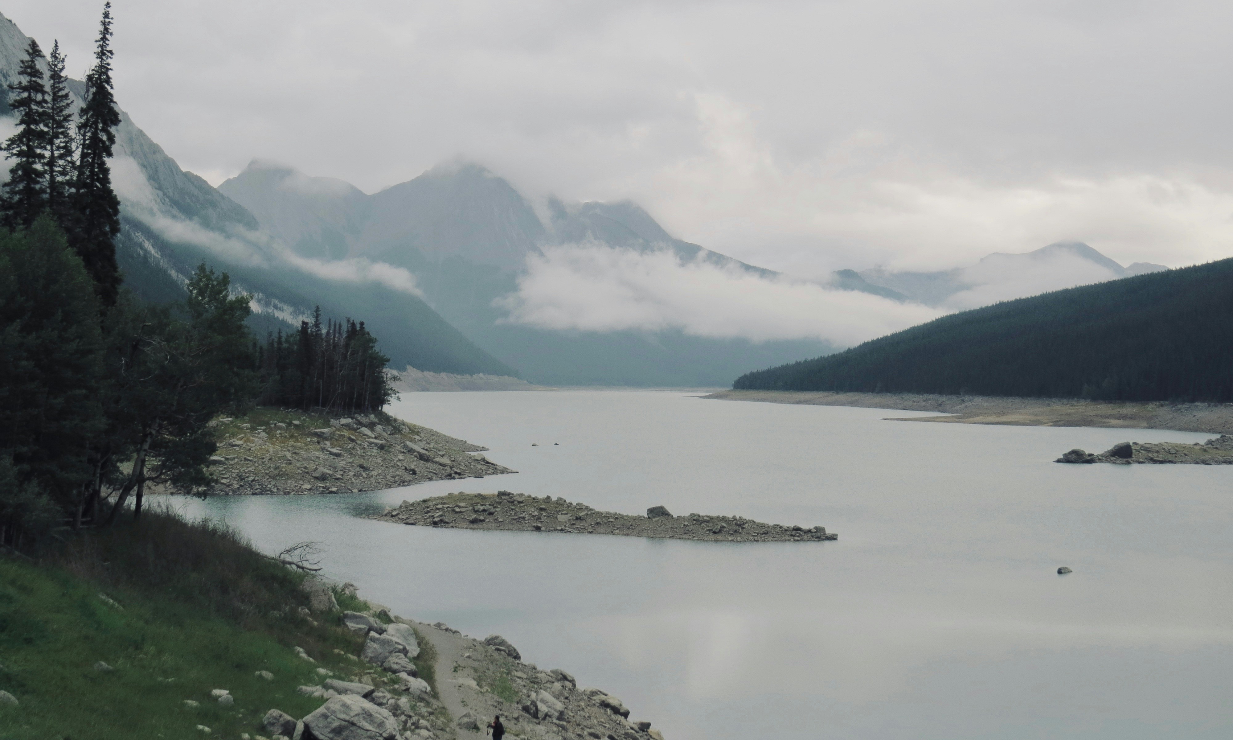 article forge vs jasper