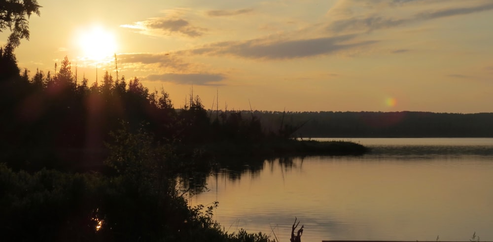 body of water near trees during sunset