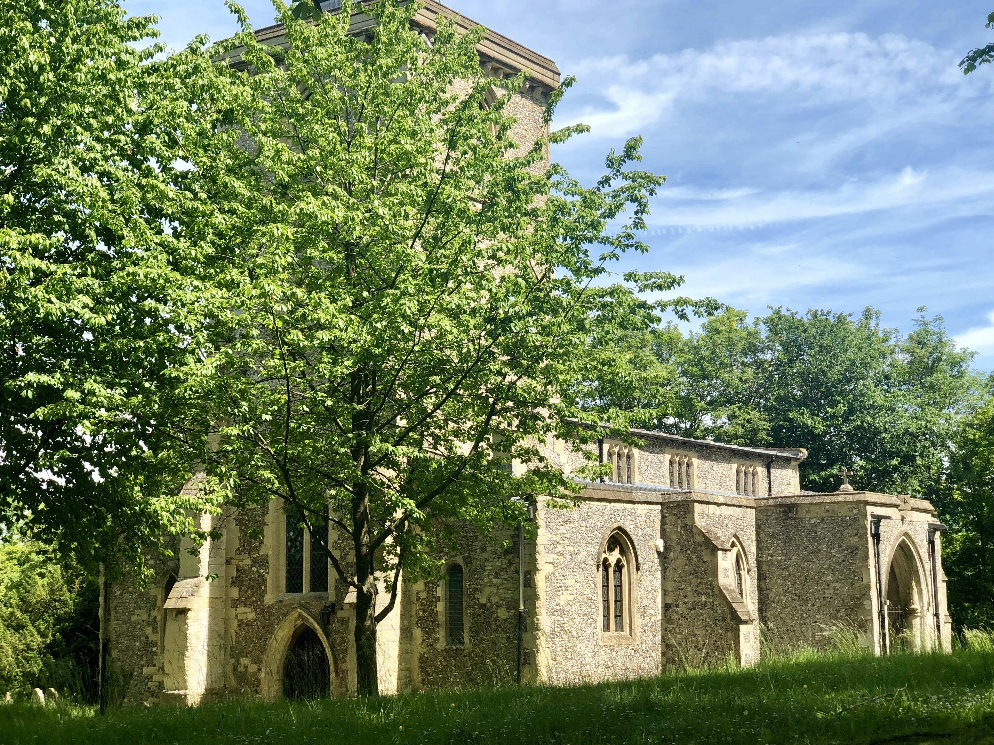 Photo by thebranches