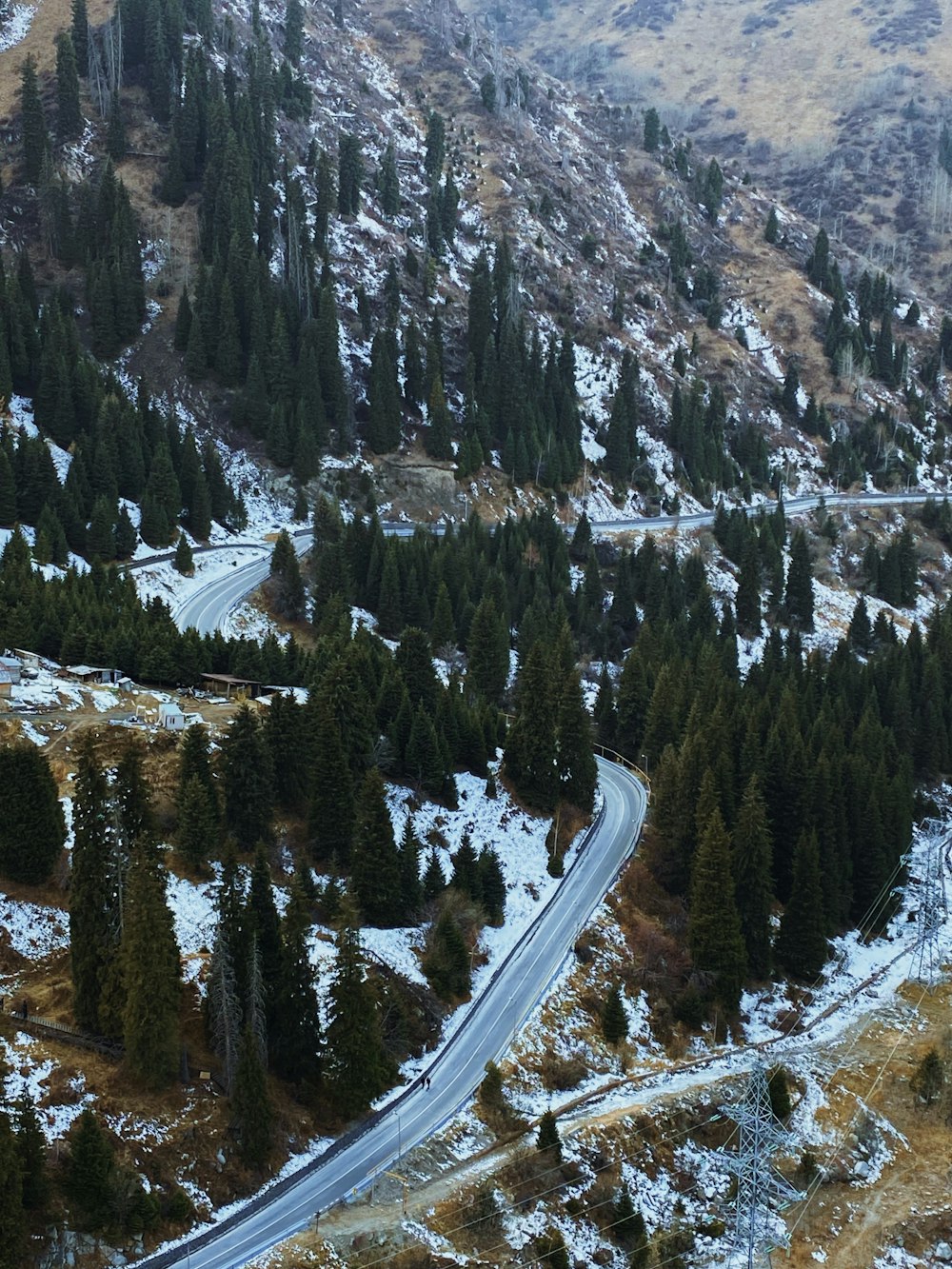 green pine trees near mountain during daytime