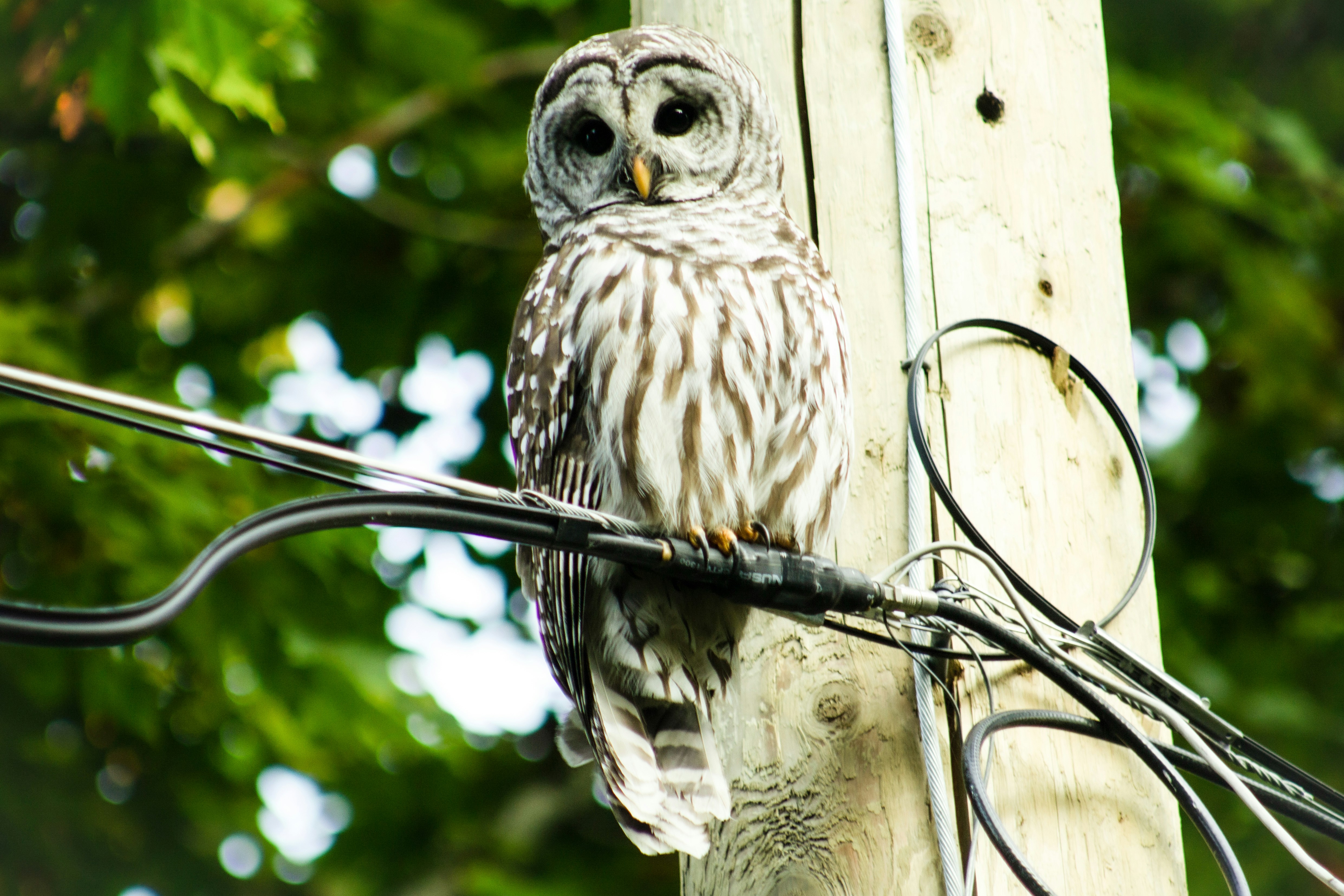 Photo by tuckerklassen