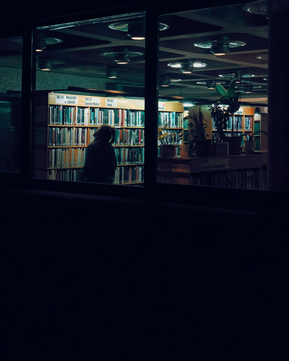 books on shelves inside room