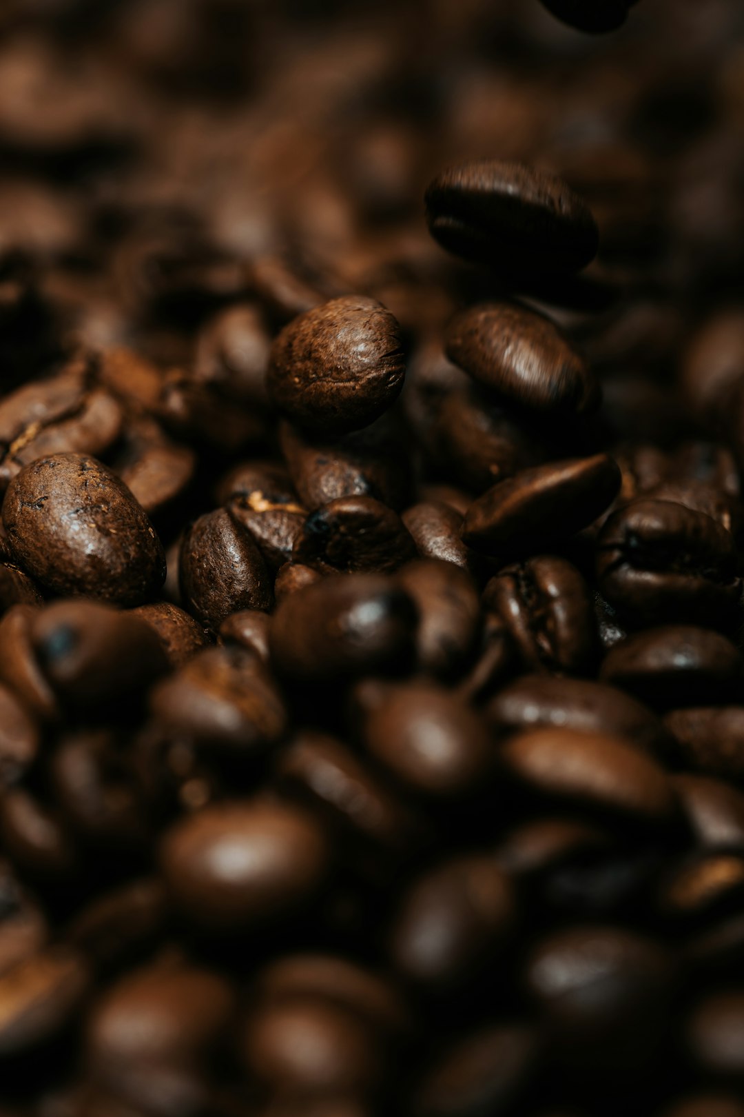 brown coffee beans in close up photography