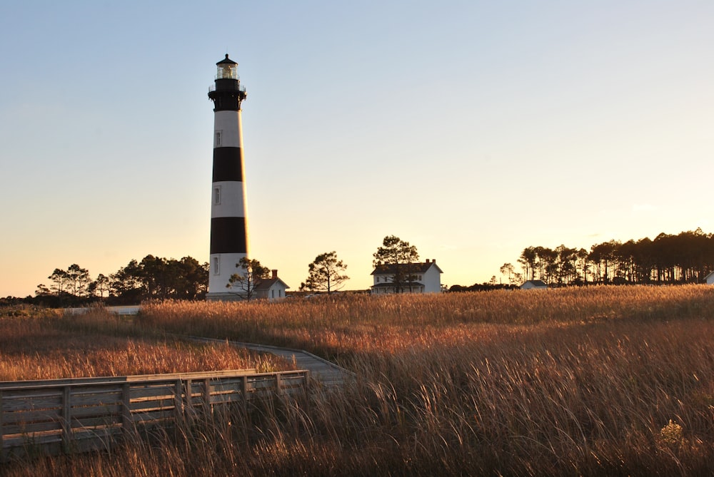 black and white lighthouse on brown grass field under white sky during daytime