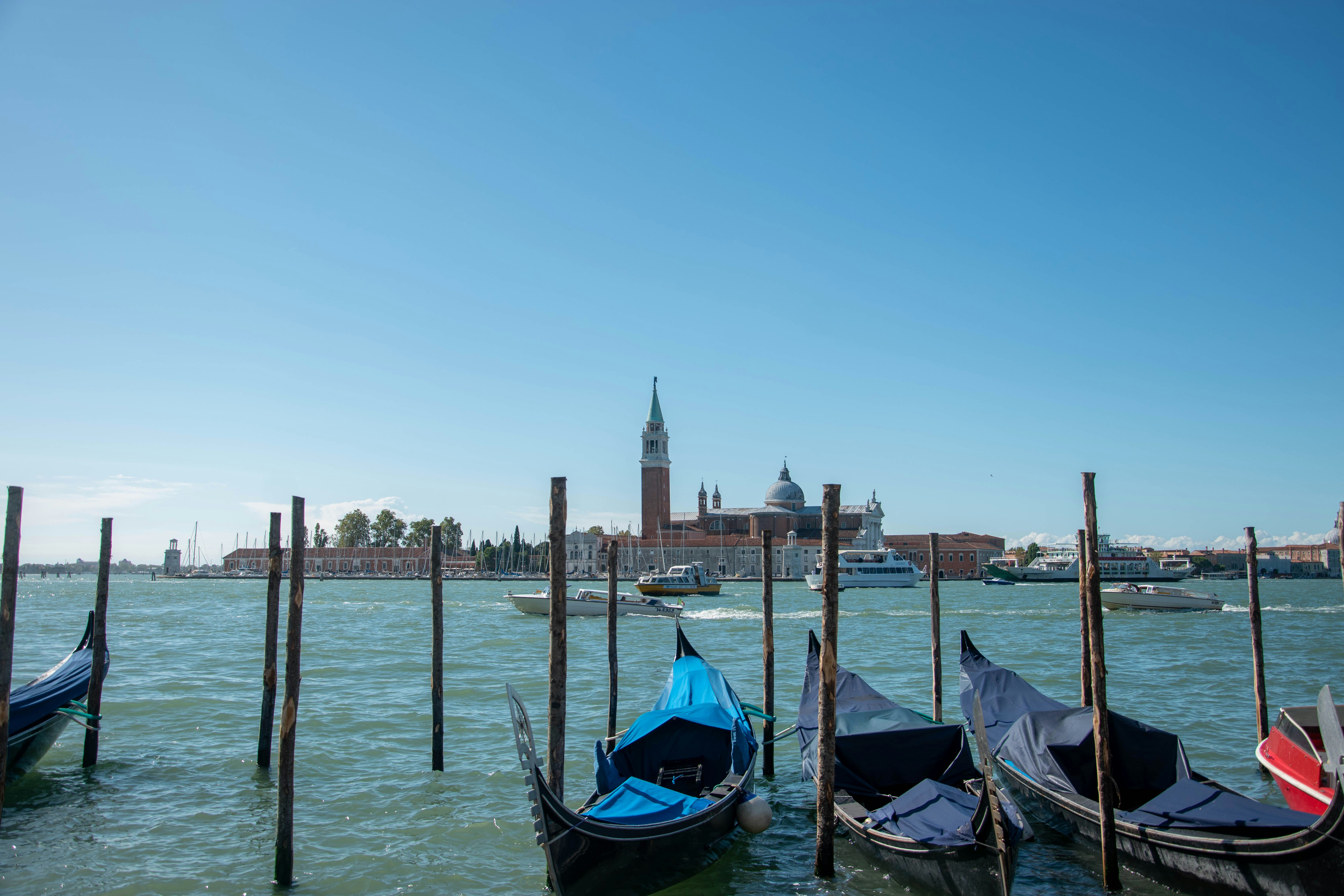 Photo by livsko_photography