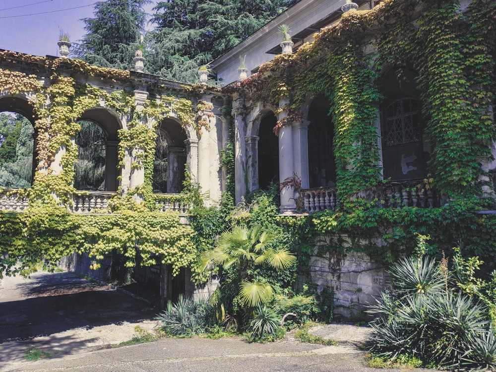 Plantes vertes sur un bâtiment en béton blanc