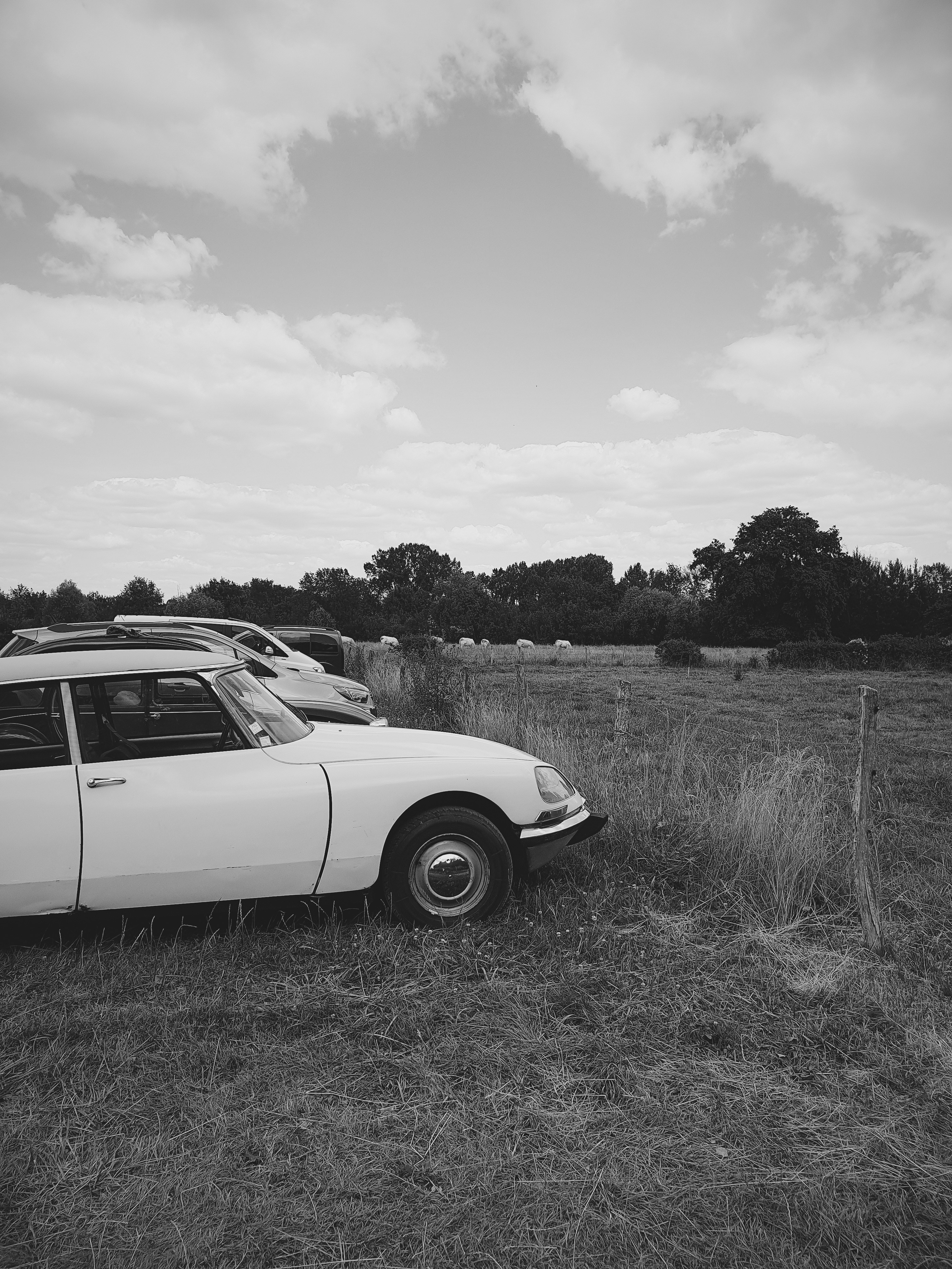 Photo by illiakholin