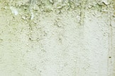 green and white concrete wall